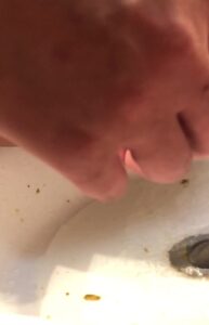 Free Scat Porn