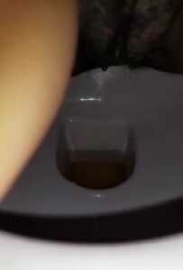 Free Scat Porn