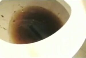 Free Scat Porn