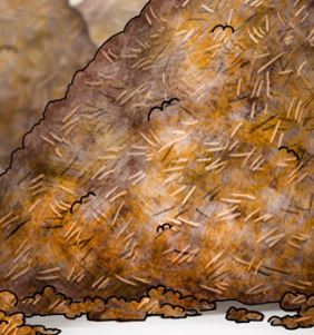 Free Scat Porn