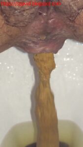 Free Scat Porn