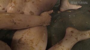 Free Scat Porn
