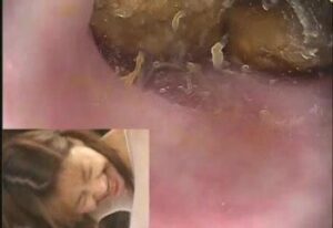 Free Scat Porn