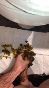 Free Scat Porn