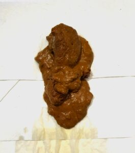 Free Scat Porn