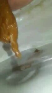 Free Scat Porn