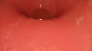 Free Scat Porn