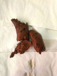 Free Scat Porn