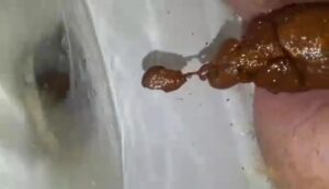 Free Scat Porn