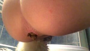 Free Scat Porn