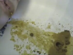 Free Scat Porn