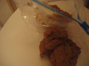 Free Scat Porn