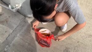 Free Scat Porn