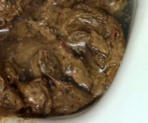 Free Scat Porn