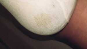 Free Scat Porn