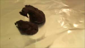 Free Scat Porn
