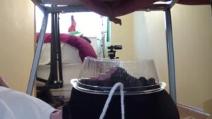 Free Scat Porn