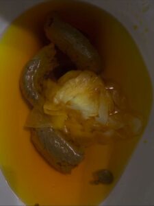 Free Scat Porn