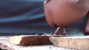 Free Scat Porn