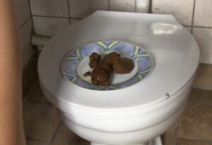Free Scat Porn