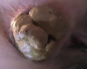 Free Scat Porn