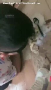 Free Scat Porn