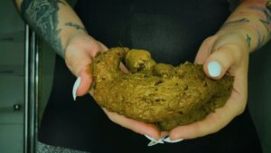 Free Scat Porn