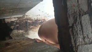 Free Scat Porn