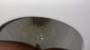 Free Scat Porn