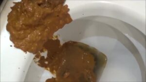 Free Scat Porn