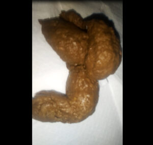Free Scat Porn