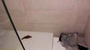 Free Scat Porn