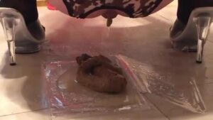 Free Scat Porn
