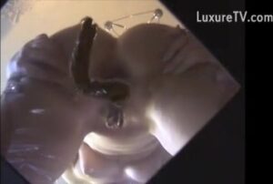 Free Scat Porn
