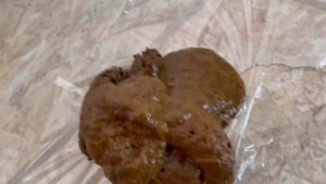 Free Scat Porn