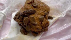Free Scat Porn