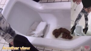 Free Scat Porn