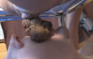 Free Scat Porn