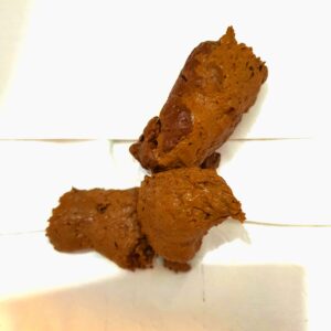 Free Scat Porn