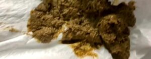 Free Scat Porn