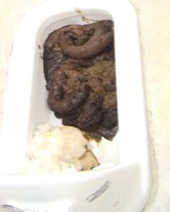 Free Scat Porn