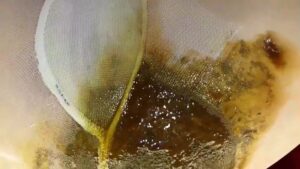 Free Scat Porn