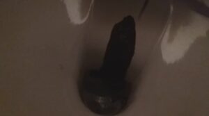Free Scat Porn
