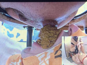 Free Scat Porn