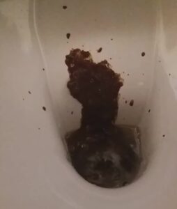 Free Scat Porn