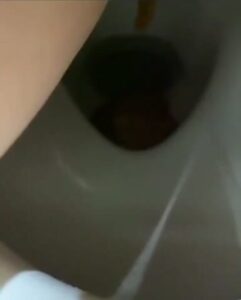 Free Scat Porn