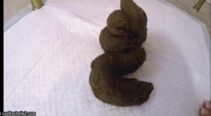 Free Scat Porn