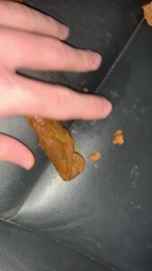 Free Scat Porn