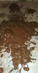 Free Scat Porn