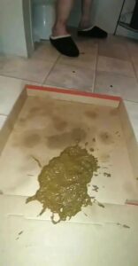 Free Scat Porn